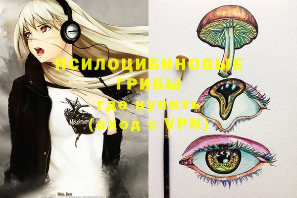 MDMA Premium VHQ Козельск